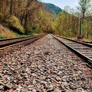 Meet your Posher, Tabitha